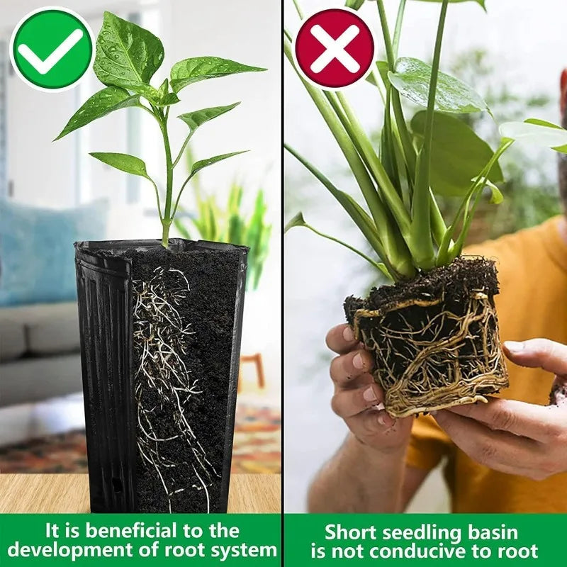 Black plastic seedling pot with soil and roots; bottom drainage hole visible