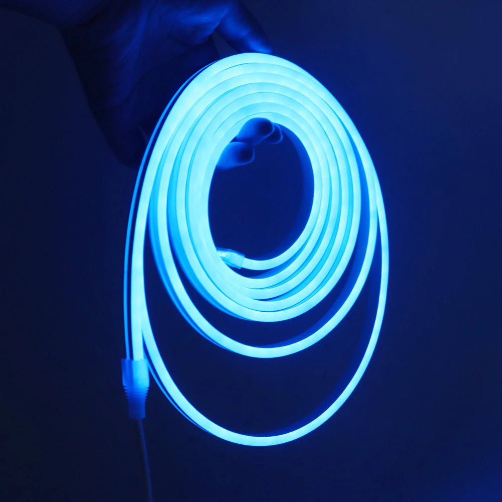 Bluetooth RGB LED Neon Strip Light 5V 3AA Battery Box 17Key 24key 44key Remote Control 108Leds/M 1M 2M 3M Waterproof Home Decor