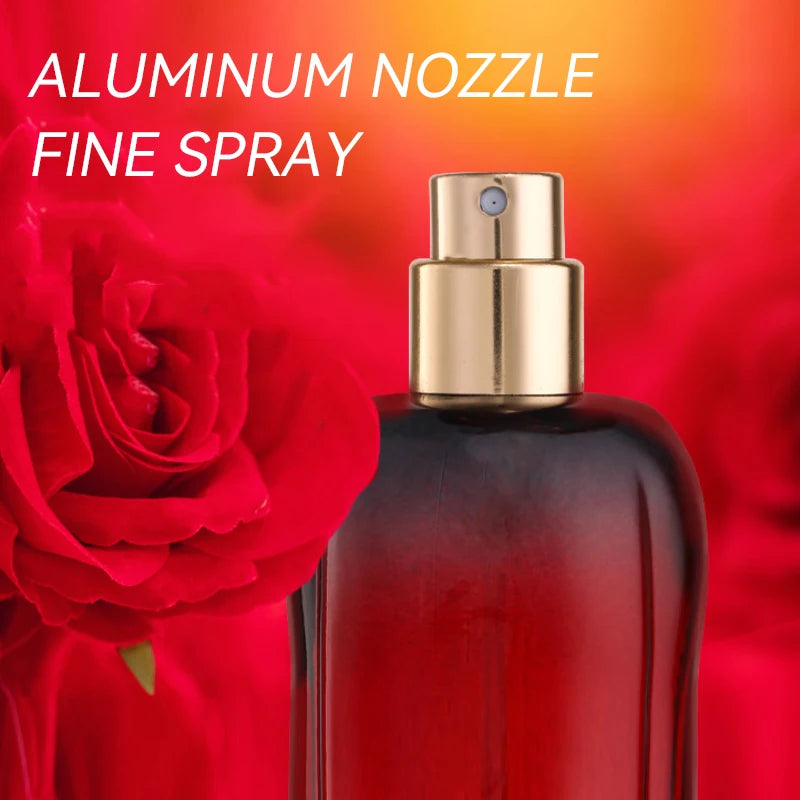 WARMKISS Midnight Rose EDP: 50ml floral perfume for women with gold spray nozzle and elegant red rose glass bottle.