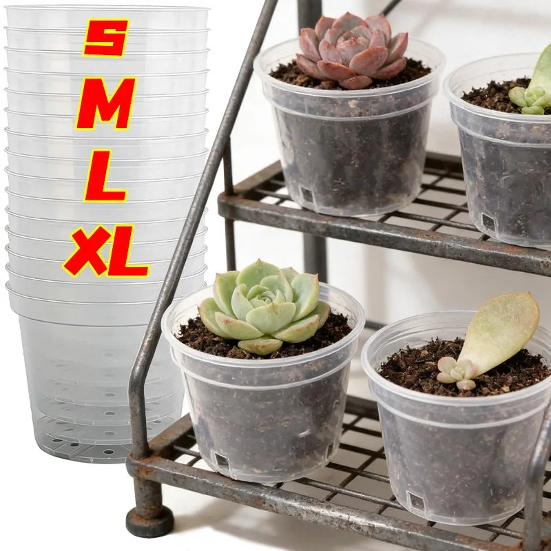 Clear plastic nursery pots stack with drainage holes for indoor seed starting, XL size shown
