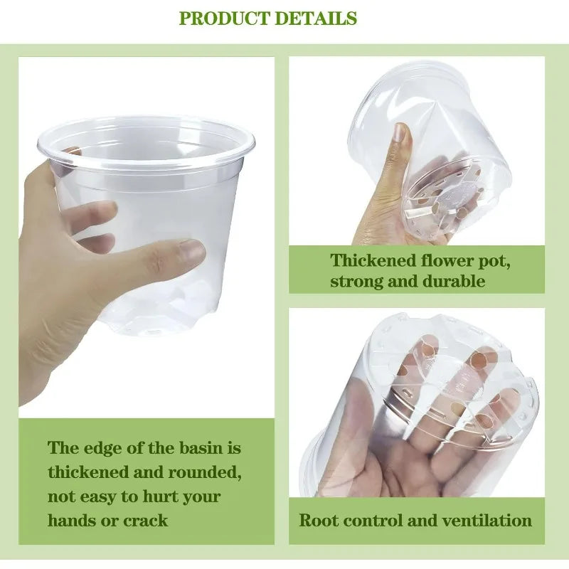 Transparent plant nursery cup close-up with thick rounded rim and sturdy construction