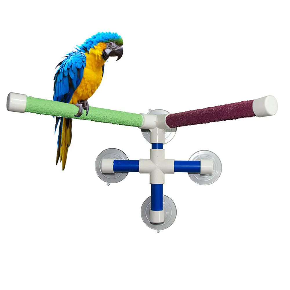 Blue and yellow parrot on a dual-stick suction cup shower perch with paw-grinding texture for bird grooming and bathing.
