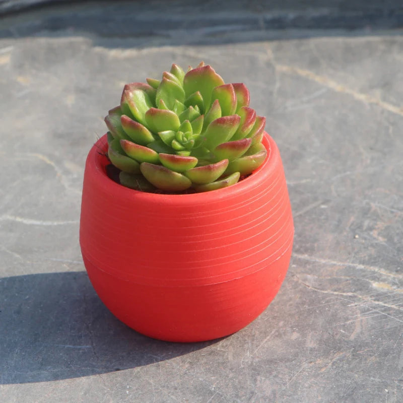 Red mini plastic flower pot with a small succulent arrangement