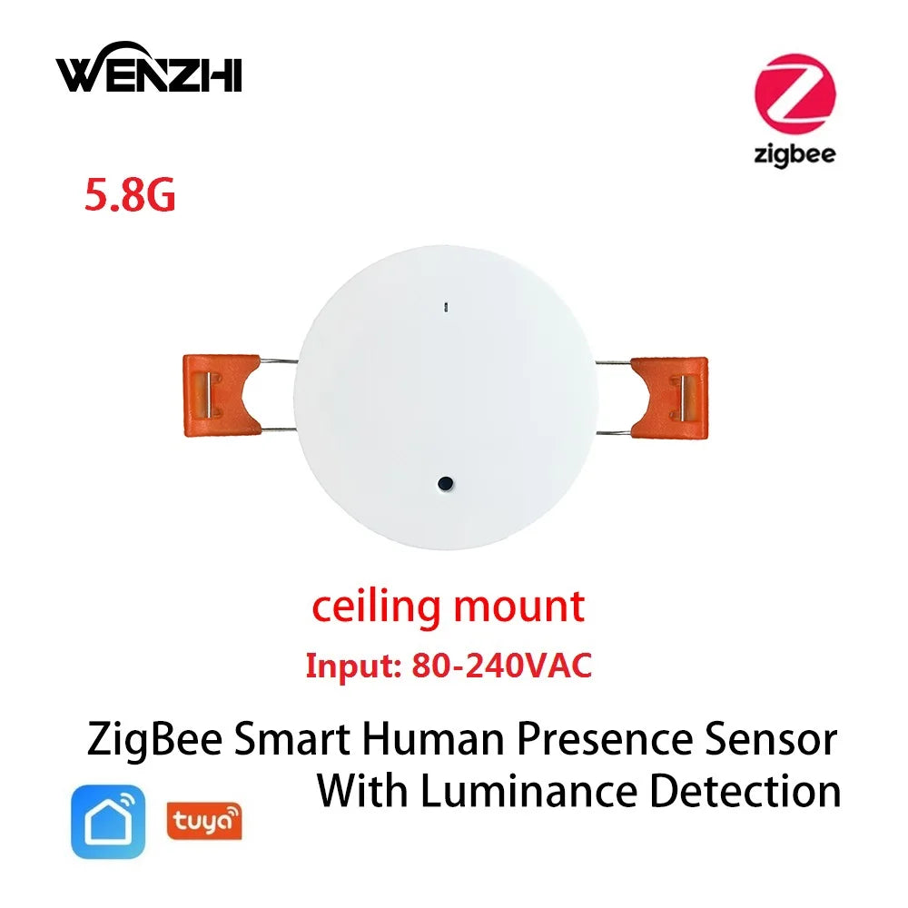 MmWave Human Presence Sensor with Luminance Detection for Smart Homes 5.8G Celling ZigBee China Mainland Tidesmit