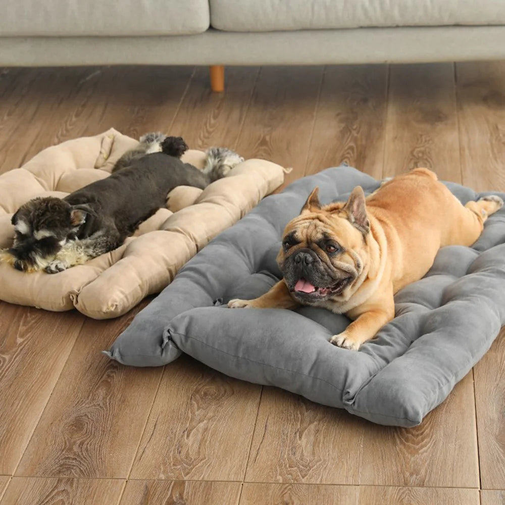 Dog and cat resting on cozy, rectangular beige and grey plush winter pet mattress beds for warmth and comfort.