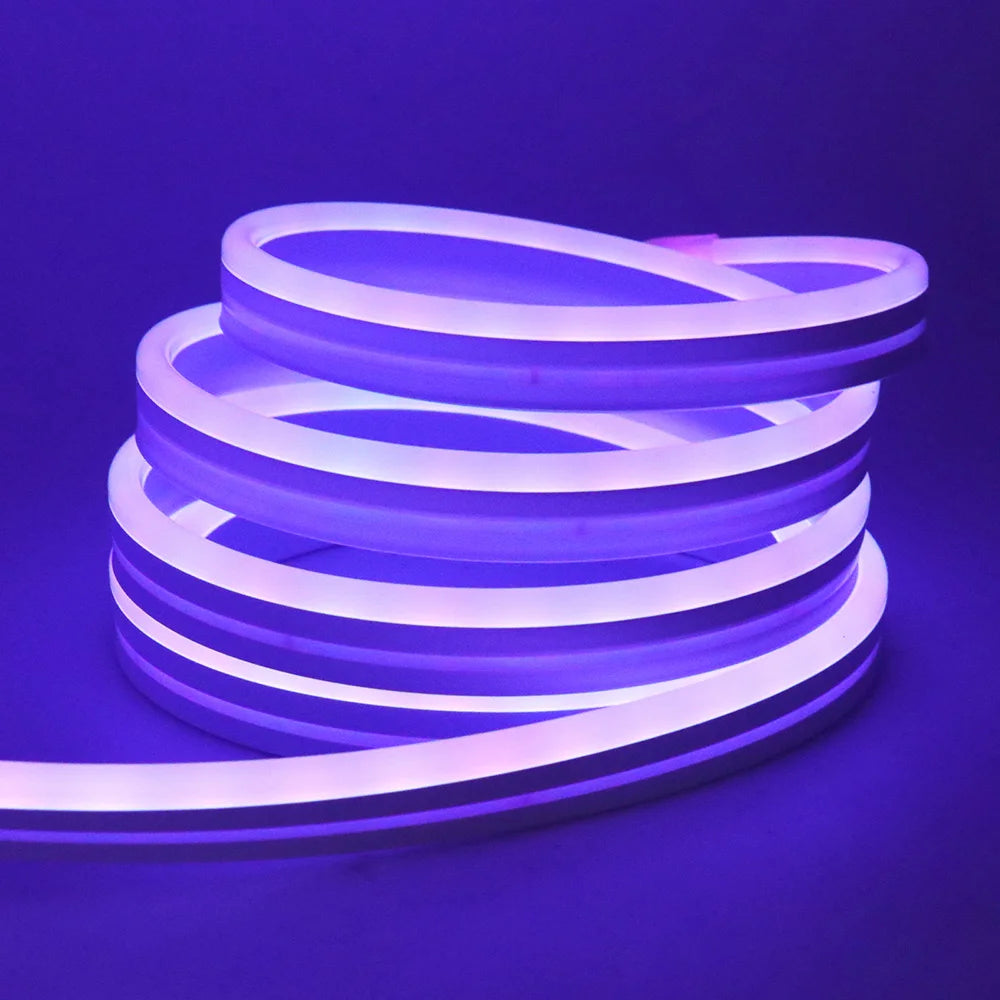 RGB Neon Light LED Rope Light Waterproof APP Remote Control Music Sync 24V Flexible DIY Silicone Strip Light for Indoor Outdoor