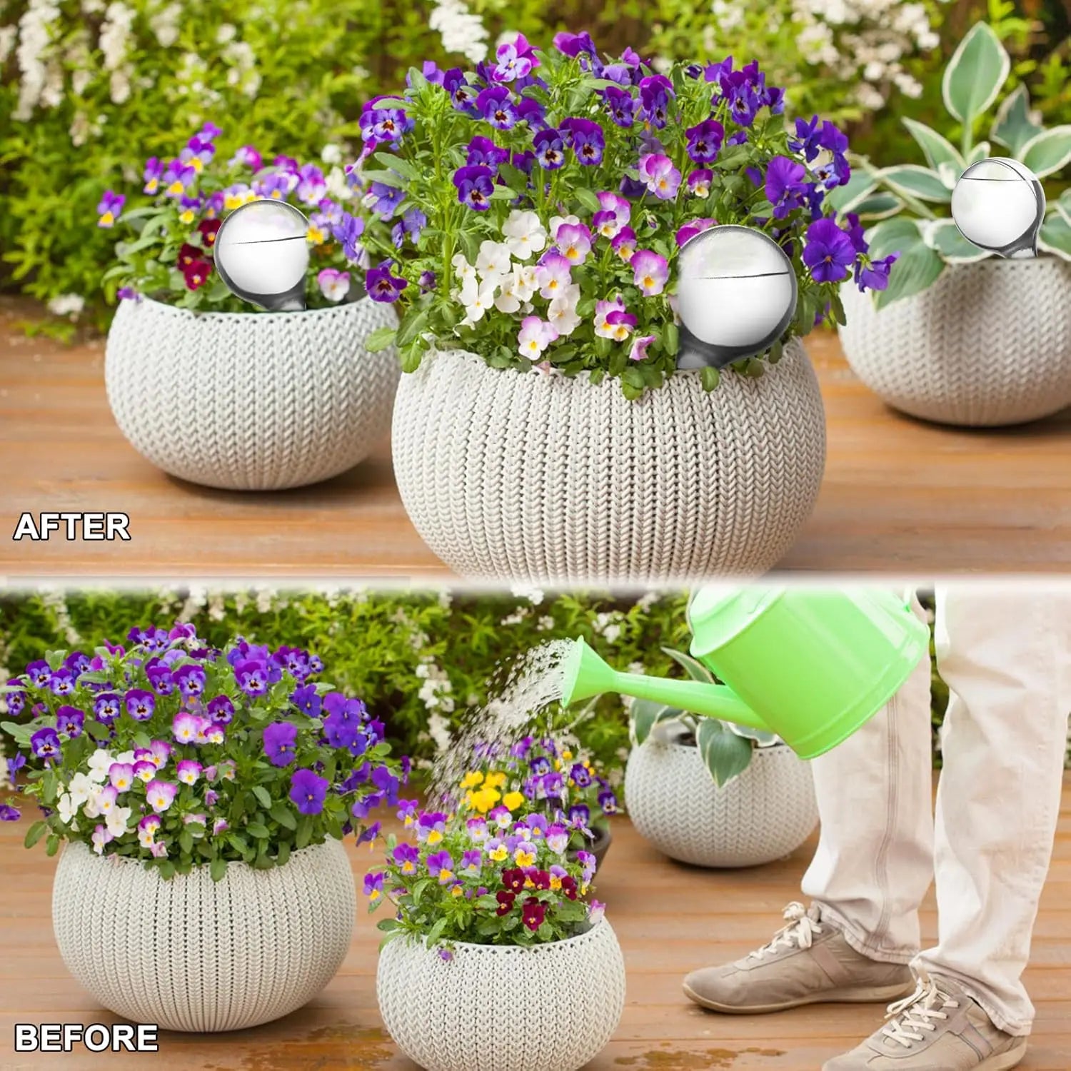 Transparent plant watering globes inserted into potted flowers