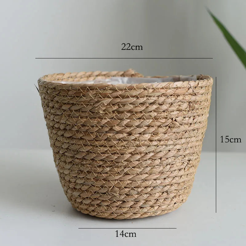 Small woven grass planter basket in tan, open top with textured weave, 14cm wide.