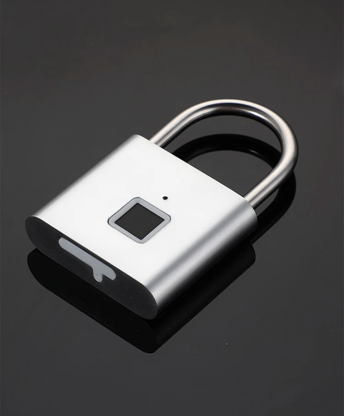 CDOK P2 Fingerprint Padlock, Built-in Rechargeable Battery, Outdoor Waterproof, Easy to Use