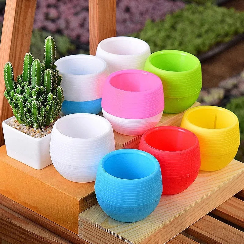 Assorted mini plastic flower pots in white, pink, green, red, blue, and yellow on tray
