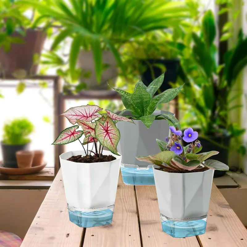 Self-watering flower pot with injection hole, white planter holding small green plants