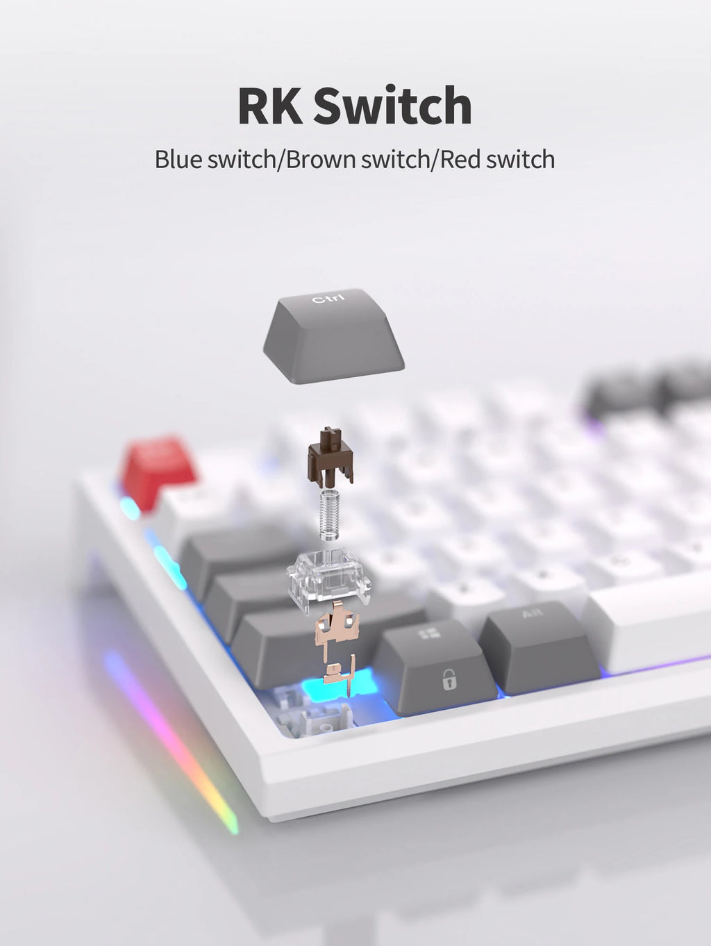 RK ROYAL KLUDGE R87 Wired Brazilian Gamer Keyboard 87 Key RGB Backlit Hot-swappable Mechanical Keyboard Customised Keycaps