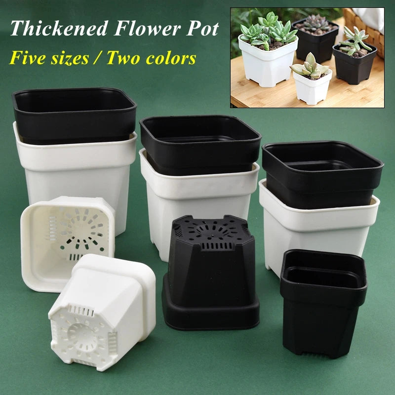 Square succulent plant pots in white and black, with drainage inserts, assorted sizes