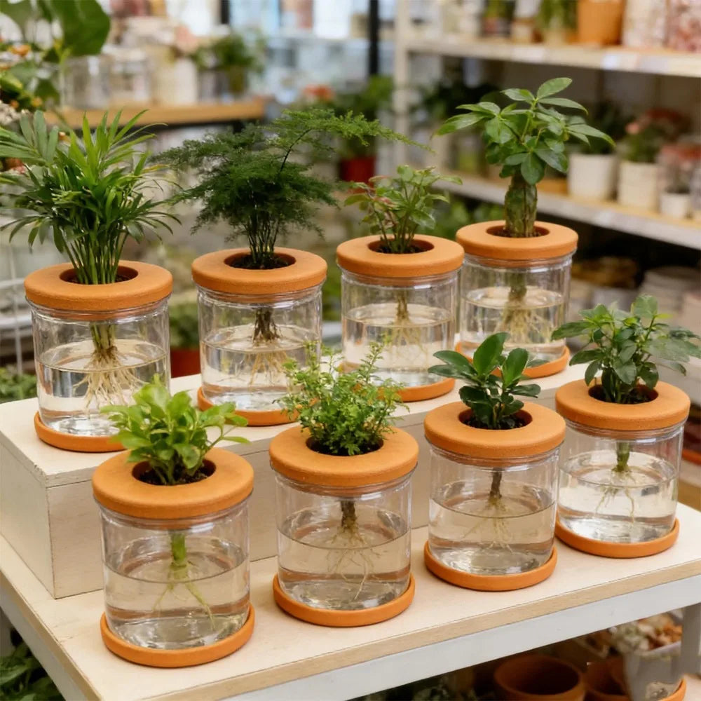 5/1PCS Transparent Hydroponic Flowerpot Hydroponic Plant Container with Soft Stopper Non Slip Bottom Home Office Gardening Pots