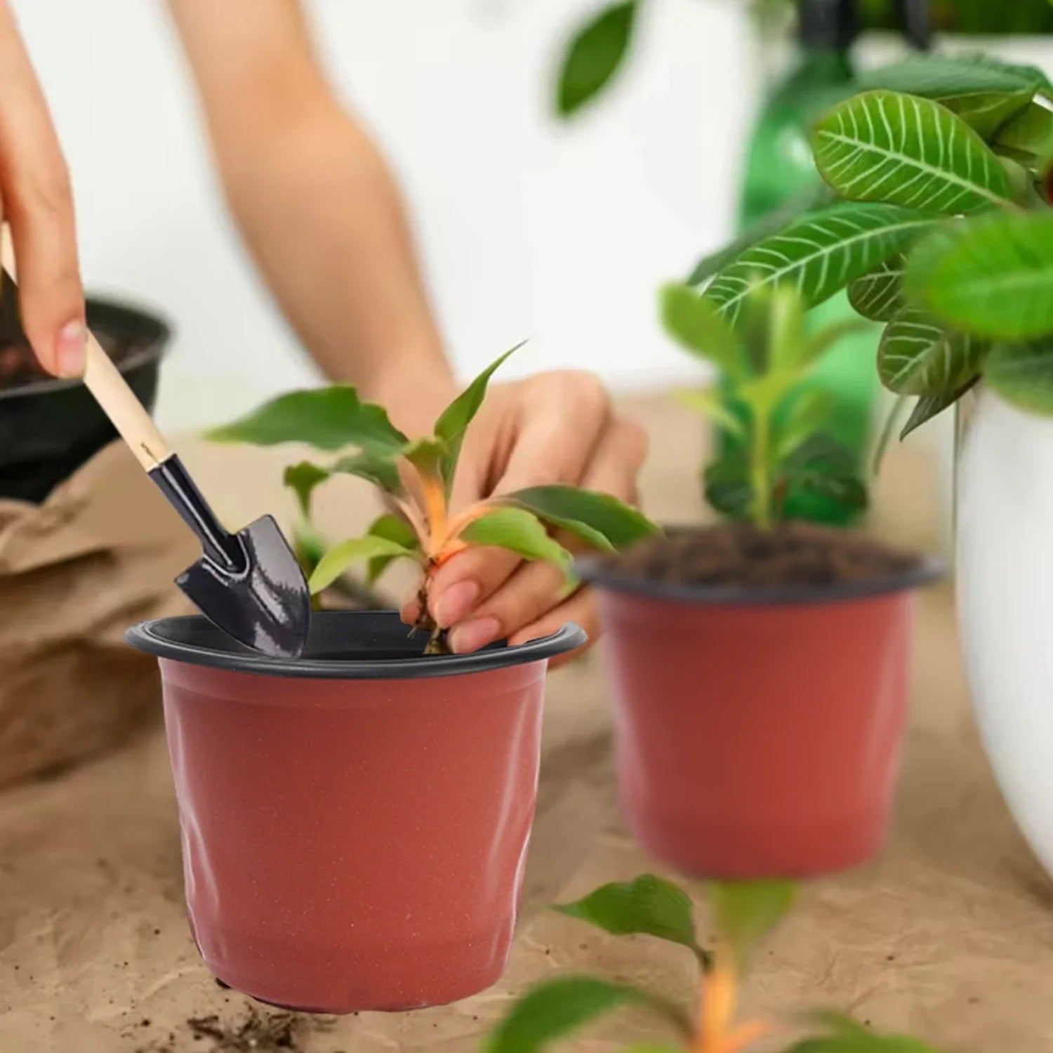 100-20PCS Plastic Nursery Pots With Holes Garden Succulents Cuttings Transplanting Pot Reusable Seedling Flower Plant Containers