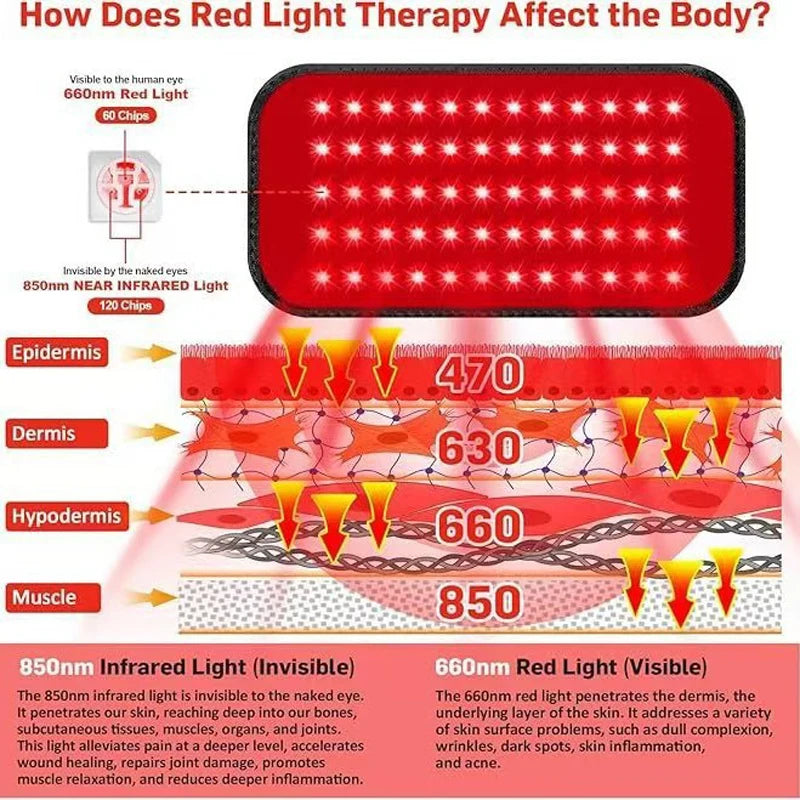 Red light therapy belt diagram showing 660nm and 850nm LED infrared wavelengths penetrating skin layers for pain relief.