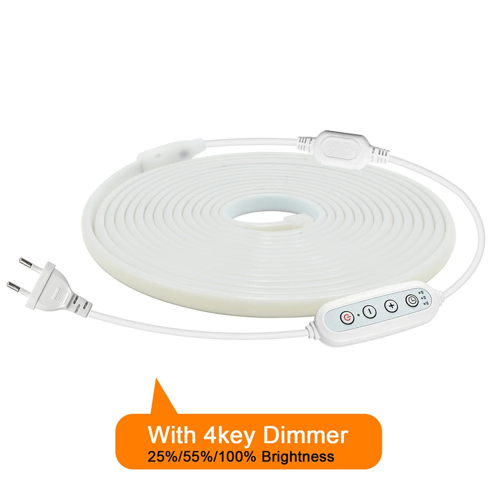 Dimmable 220V COB LED Neon Strip Light 4key Controller EU Plug Flex Tube 3000K 4000K 6000K for Staircase Bar Counter Lighting