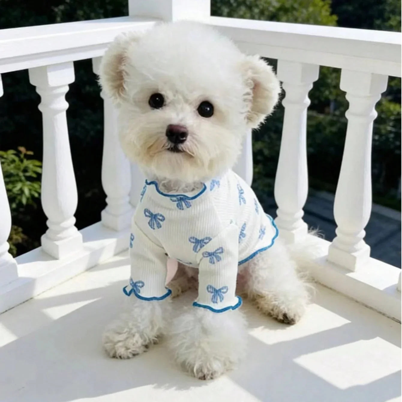 Small dog wearing a breathable, stretchy white knit sweater with blue bow ties for comfortable pet style.