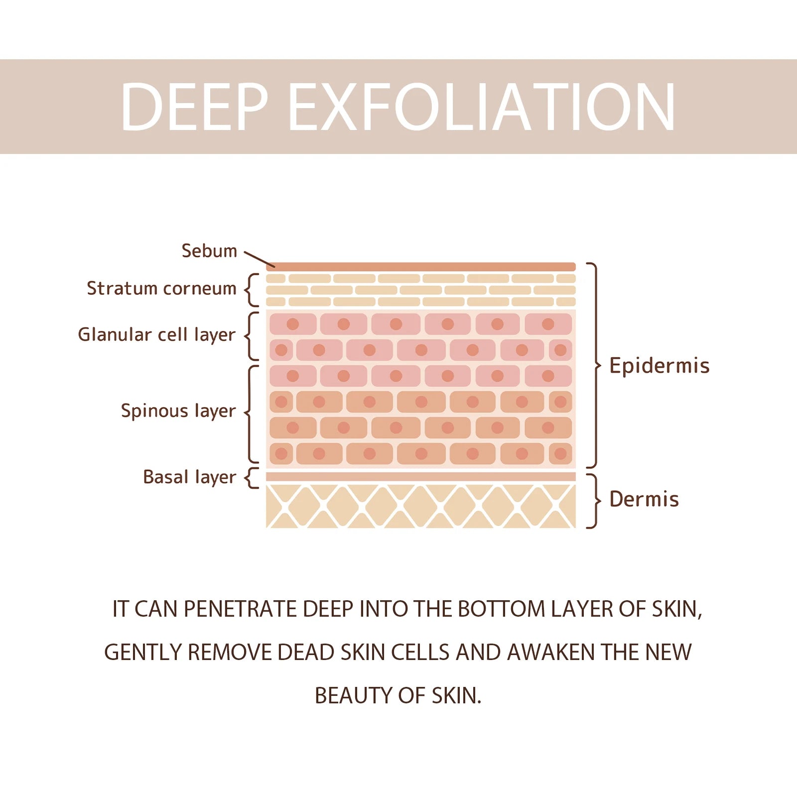 Exfoliating Gel for Pore Cleansing & Acne - 50g Salon-Quality Treatment Scrubs Treatments Tidesmit