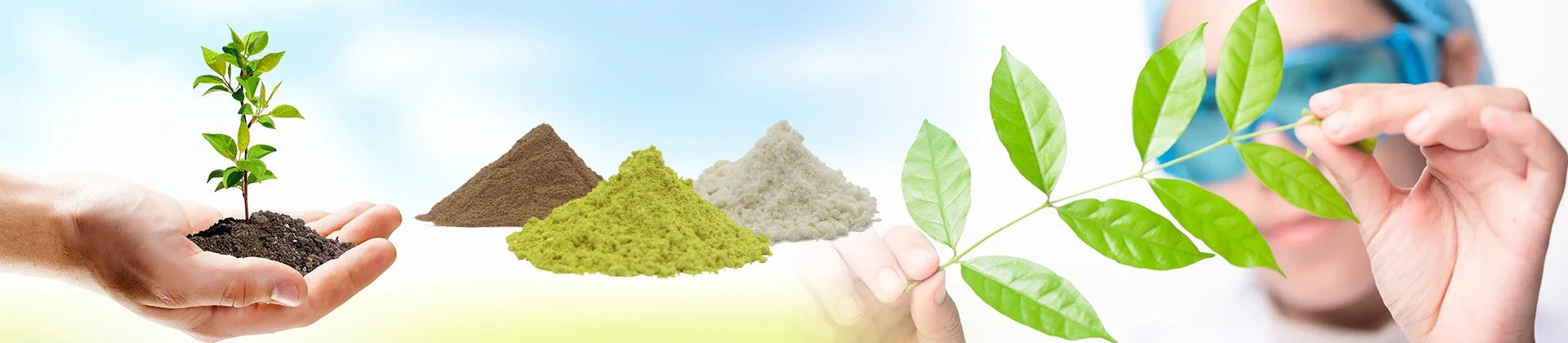 Global Customized Proportion Packaging Lions Mane Mushroom Extract Powder  Bulk Hericium Erinaceus Out Packing Aluminum Foil Bag