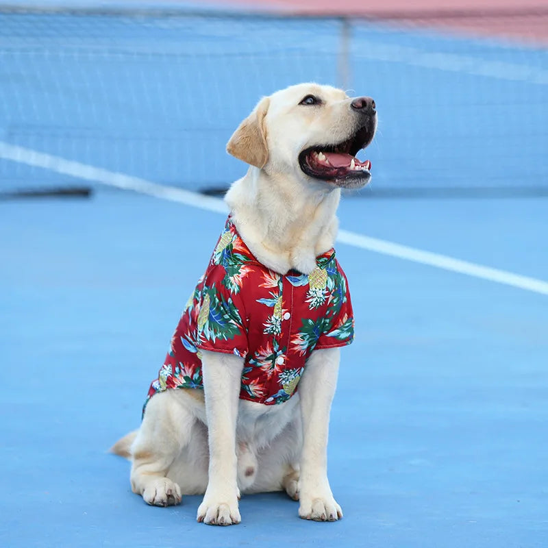 Labrador wearing a breathable red Hawaiian pineapple print dog shirt for comfortable summer pet style.