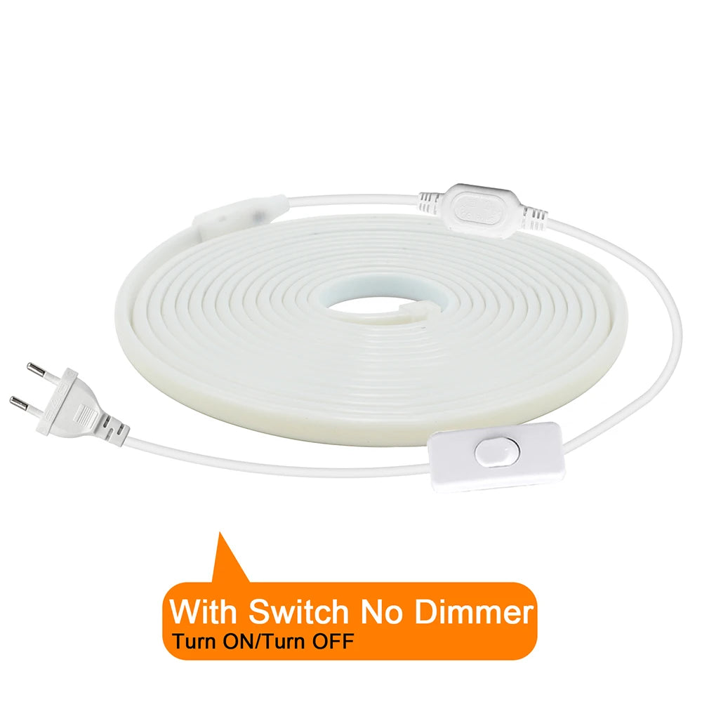 COB LED neon strip kit with EU plug and inline switch, no dimmer