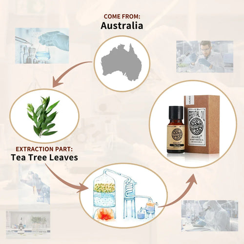 Essential oil bottle shown on a product info graphic, amber bottle with black cap