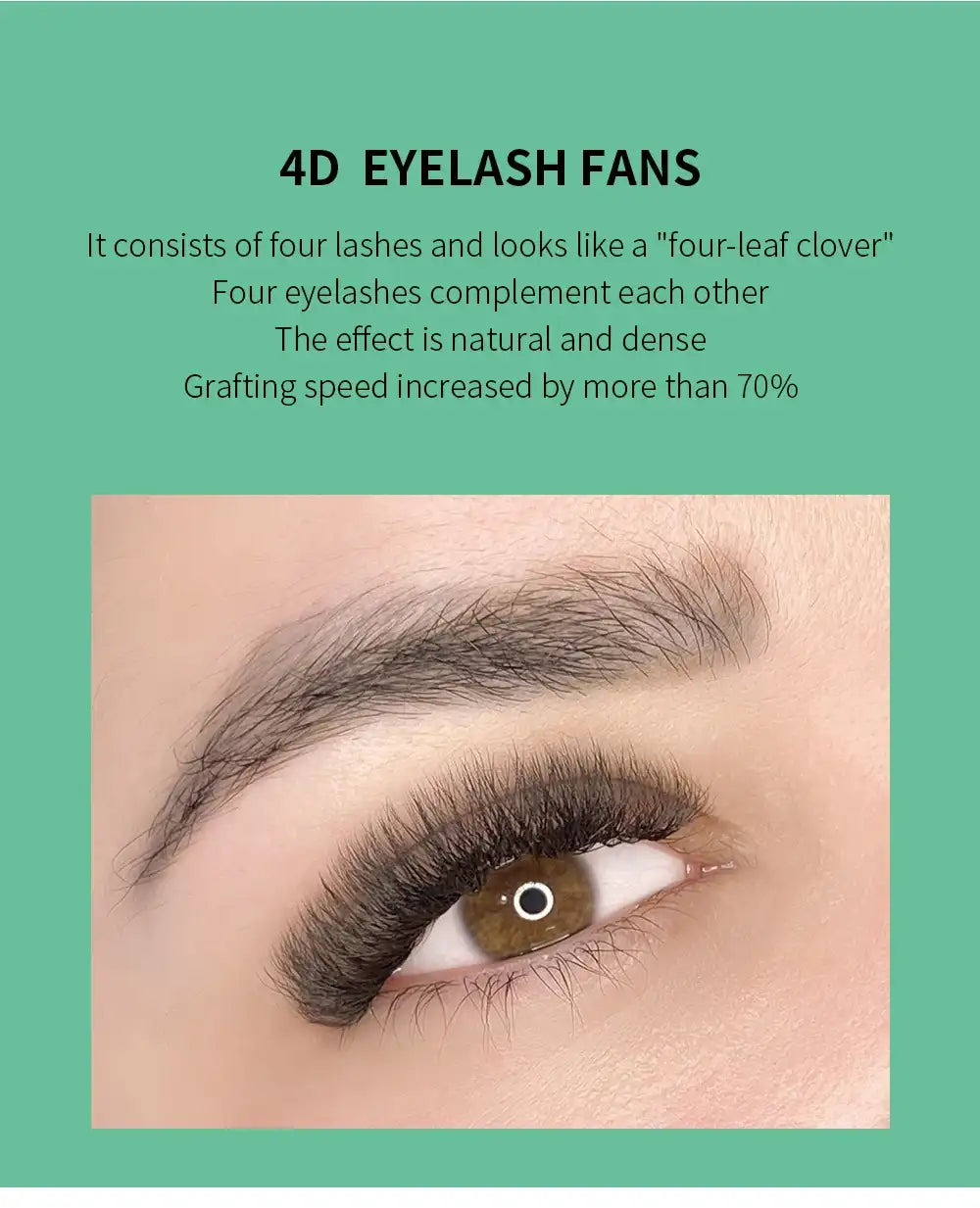 4D eyelash fans with a four-leaf clover shape, applied to an eye for a dense, natural-looking volume lash extension.