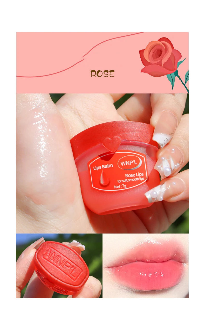 Moisturizing Lip Balm Set - Natural Plant-Based Lip Care (4-8pcs) Lip Care Tidesmit