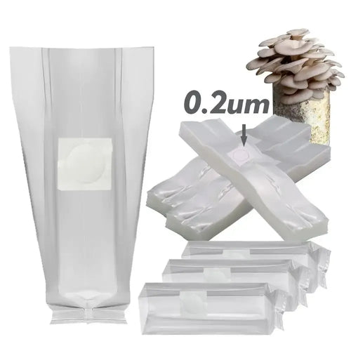 Oyster mushroom spawn bags with 0.2um filter patch for growing adaptogen mushroom cultures.
