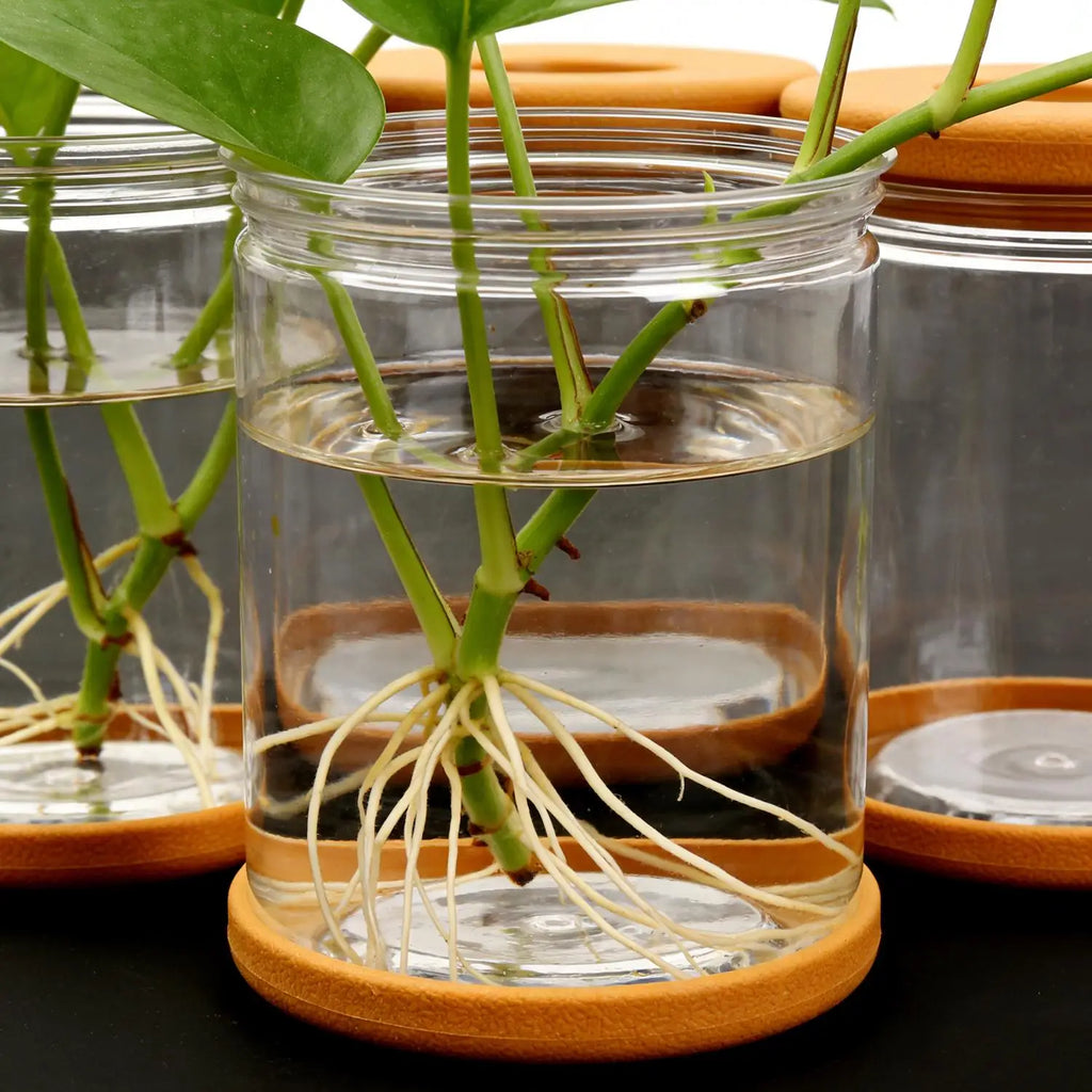5/1PCS Transparent Hydroponic Flowerpot Hydroponic Plant Container with Soft Stopper Non Slip Bottom Home Office Gardening Pots