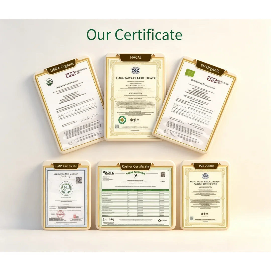 Global Customized Proportion Packaging Lions Mane Mushroom Extract Powder Bulk Hericium Erinaceus Out Packing Aluminum Foil Bag