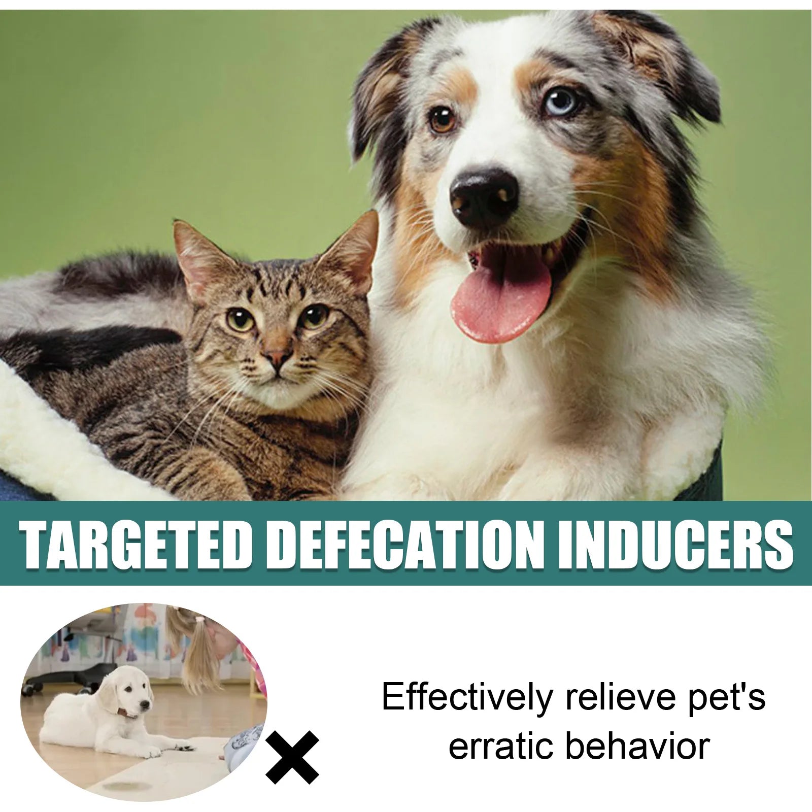 Dog and cat toilet training spray for easy puppy potty positioning and effective indoor pet housebreaking.
