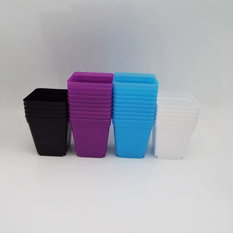 Small square plastic mini pots for succulents in black, purple, blue, and white, arranged in rows.