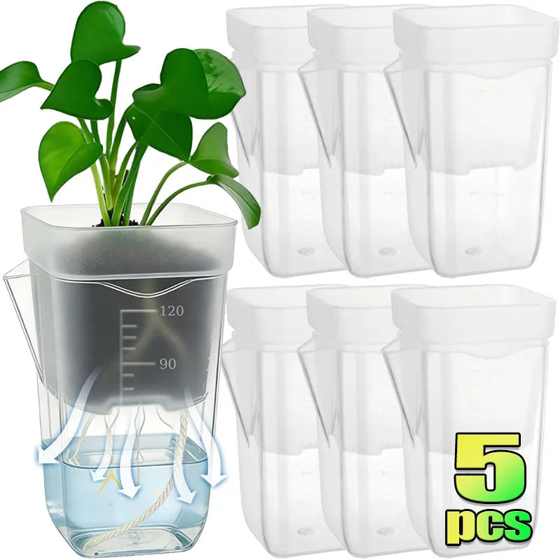 Transparent self-watering plant pot set with wick system and drainage holes, clear container cups