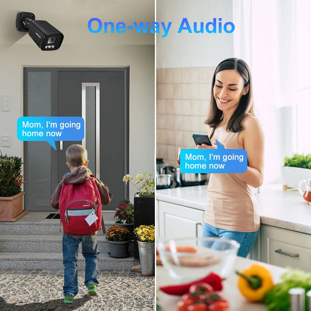 8MP 4K IP Camera Outdoor Ai Face Recognition H.265 Onvif Black CCTV RTSP Color Night Vision 4MP POE Human Audio Security Camera