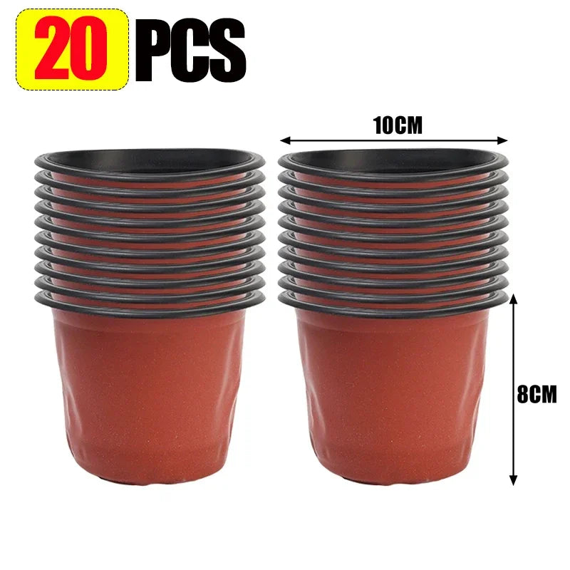 Two red plastic nursery pots with black rims, about 10cm wide and 8cm tall