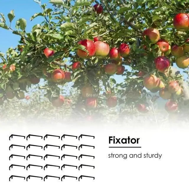 Black fruit tree training clips with V-shaped hooks, illustrated with several pieces