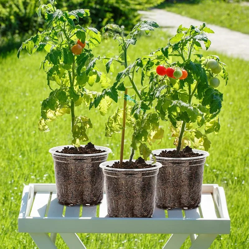 Multiple dark transparent plant nursery cups with seedlings on a green outdoor tray