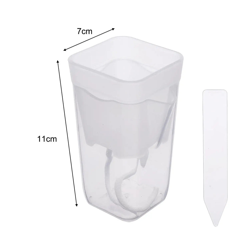 Transparent self-watering planter size 7x11cm, clear plastic with base insert