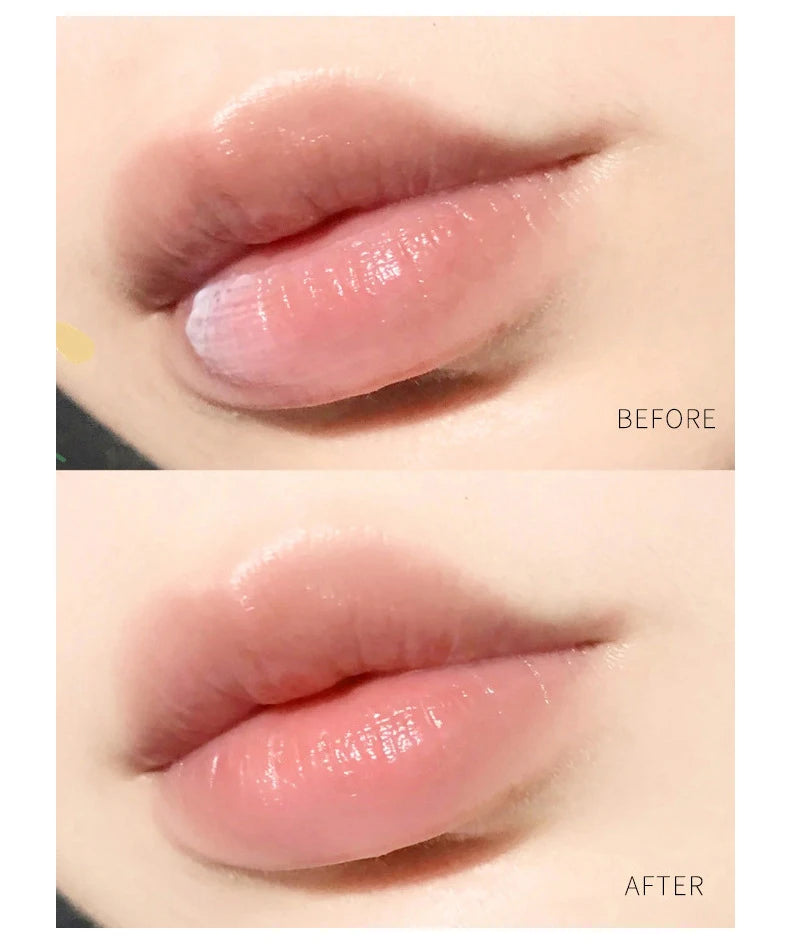 Moisturizing Lip Balm Set - Natural Plant-Based Lip Care (4-8pcs) Lip Care Tidesmit