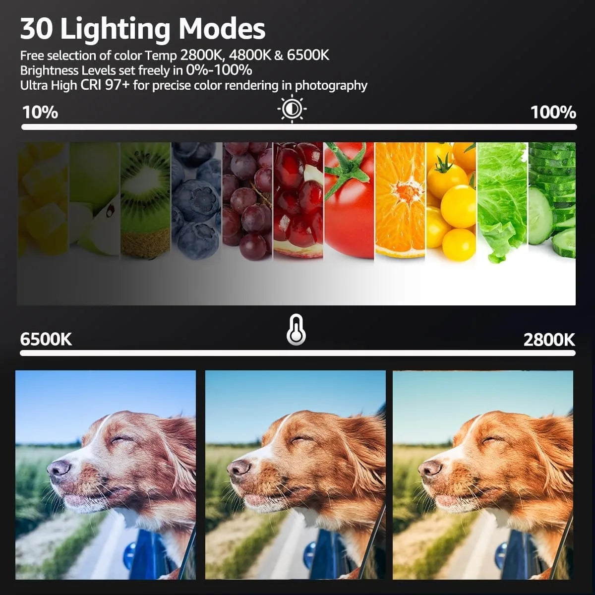 LED Video Light Kit | Adjustable Studio Lighting for Content Creation Tidesmit