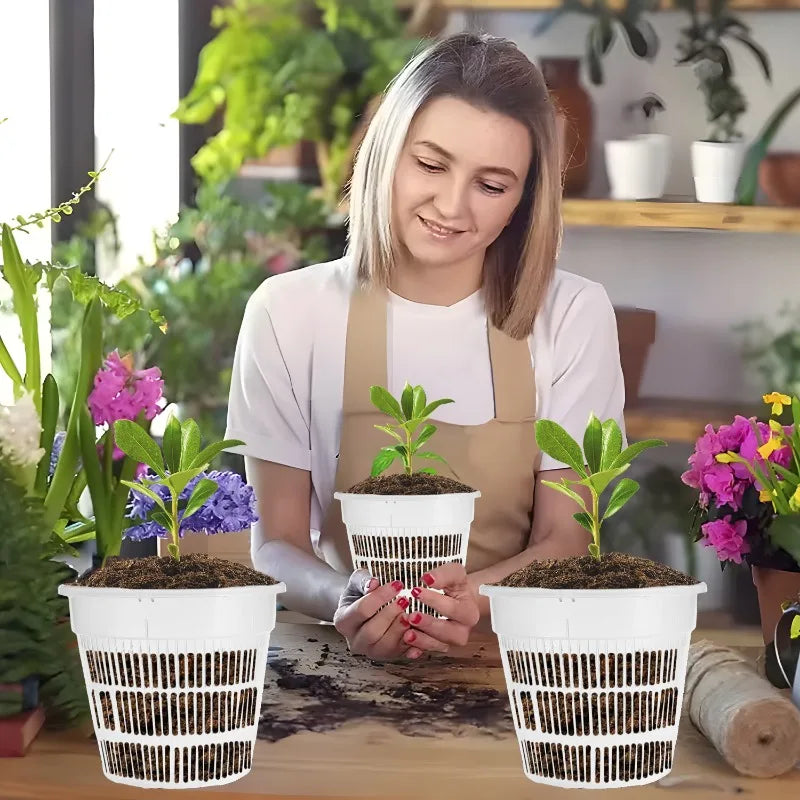 Meshpot Clear Orchid Pots Plastic Orchid Pot with Hole Nursery Flower Breathable Basin Outdoor Planters Gardening Tool Wholesale