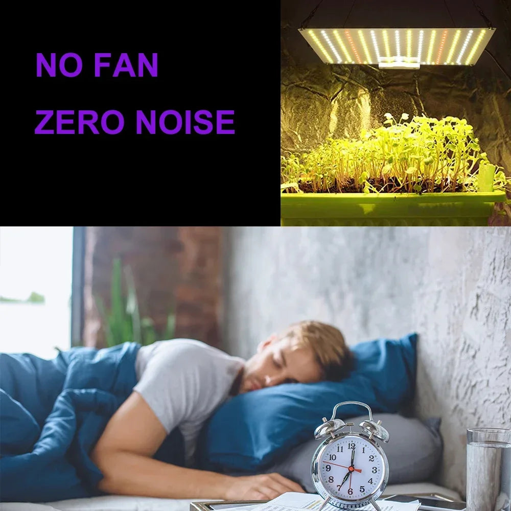 Grow tent light with text “NO FAN ZERO NOISE” beside a sleeping person scene
