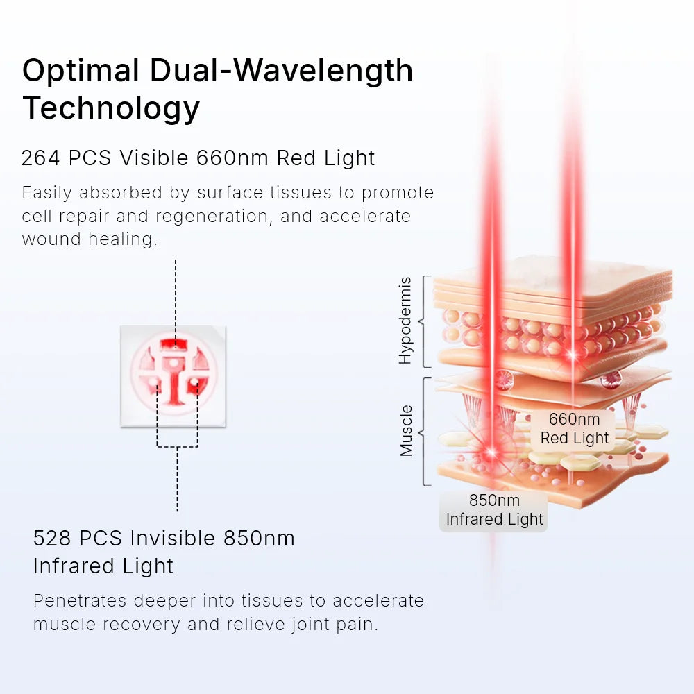 Diagram of dual-wavelength light therapy showing red light (660nm) and infrared light (850nm) penetrating skin layers.