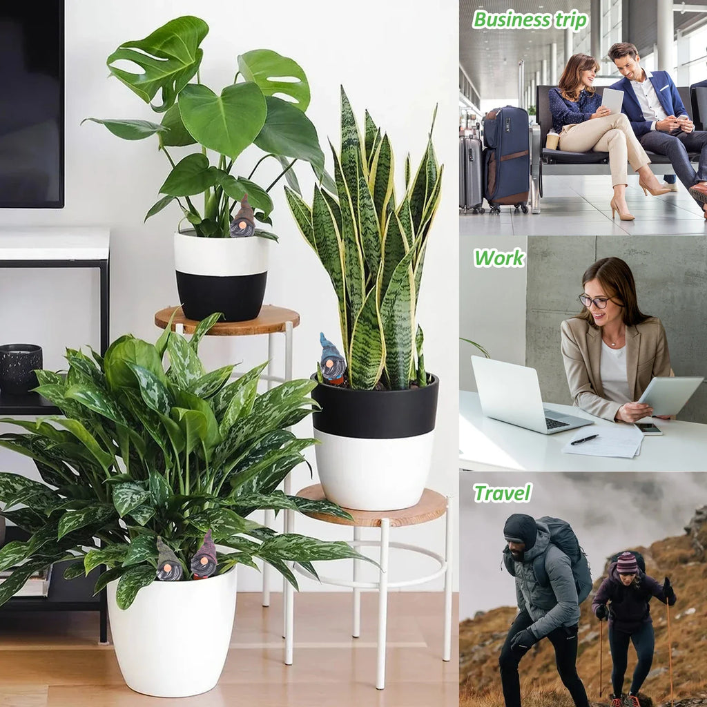 Indoor potted plants with visible self-watering globe spike devices