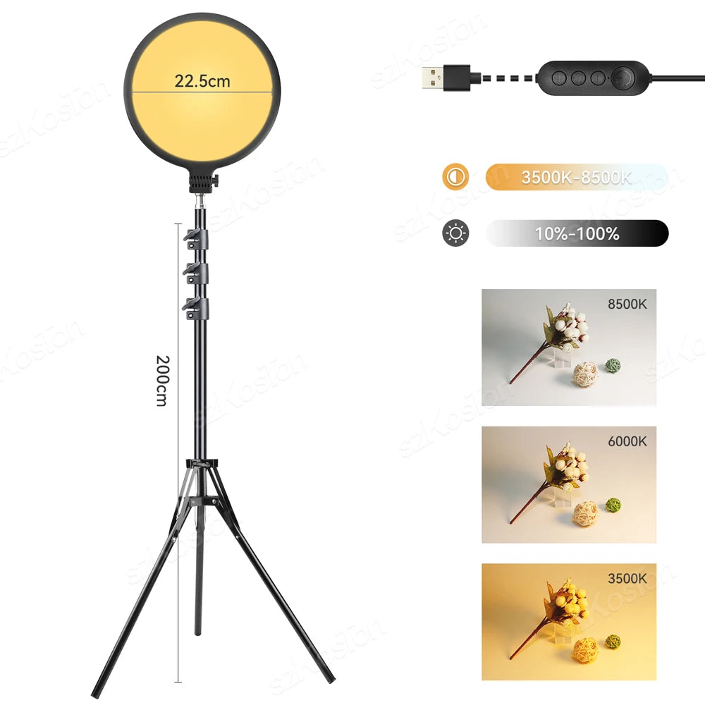 10-Inch LED Ring Light with 2M Adjustable Tripod for Professional Streaming with 2M tripod China Mainland Tidesmit