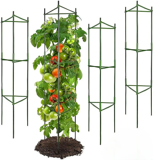 Green tomato plant cage with stake frame and grid supports climbing vines