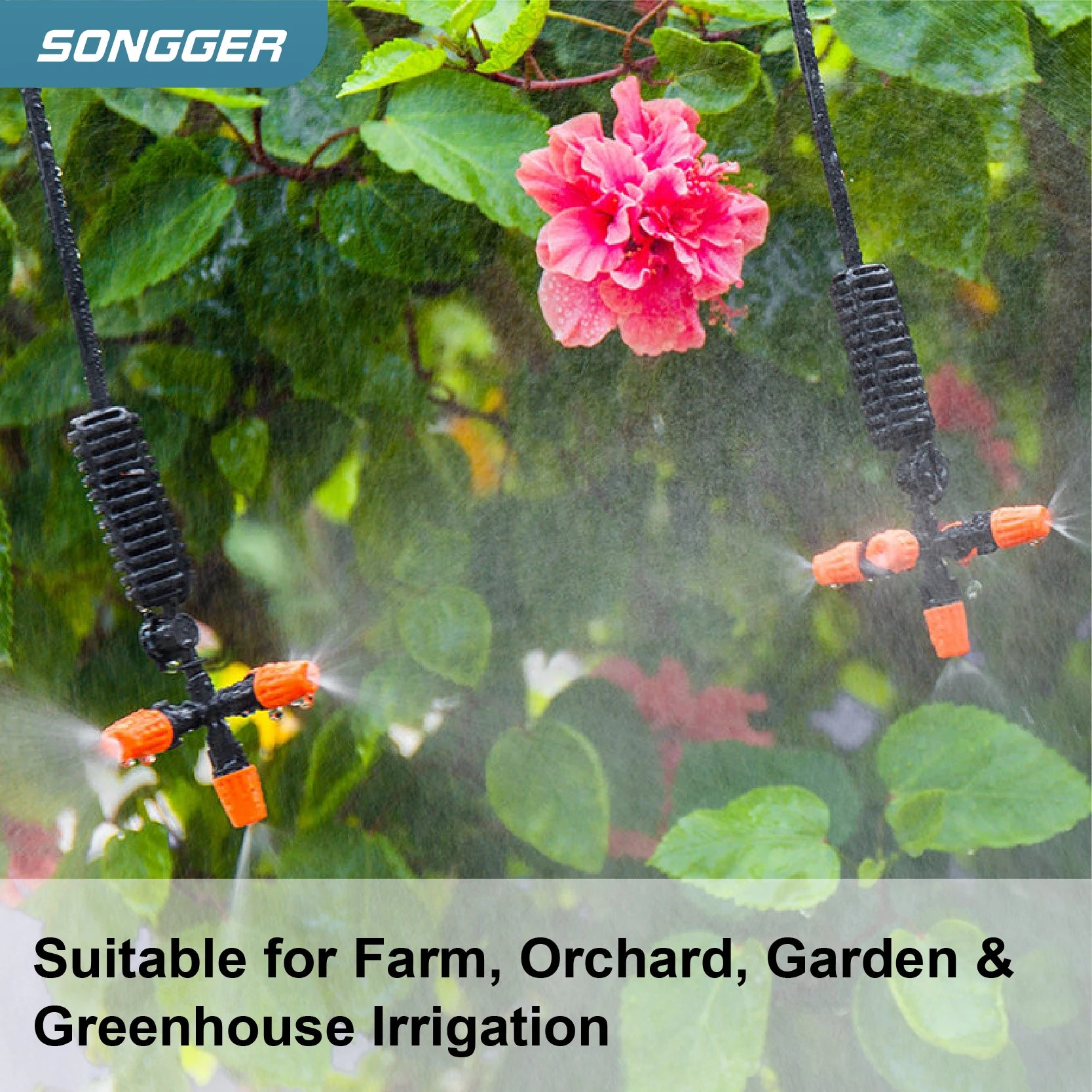 Inverted micro sprinkler nozzle spraying mist over garden leaves with orange spray tips