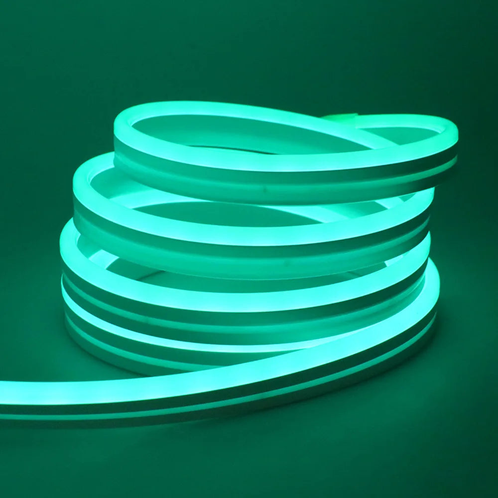 RGB Neon Light LED Rope Light Waterproof APP Remote Control Music Sync 24V Flexible DIY Silicone Strip Light for Indoor Outdoor